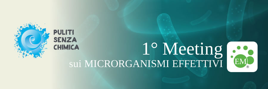Vanni Ficola Convegno Microrganismi Effettivi 2017
